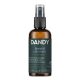 Dandy Beard szakáll- és bajusz tisztító spray, 100 ml