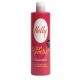Nelly Color Protect sampon Festett hajra hajra, 400 ml