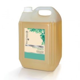   Lady Stella Spa Spirit wellness izomlazító masszázsolaj, 5 l