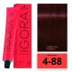 Schwarzkopf Igora Royal hajfesték 4-88