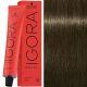 Schwarzkopf Igora Royal hajfesték 6-31