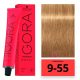 Schwarzkopf Igora Royal hajfesték 9-55