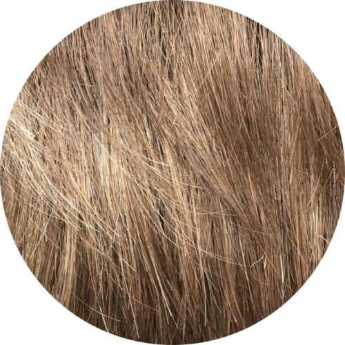 Hair Club Solo Deluxe paróka